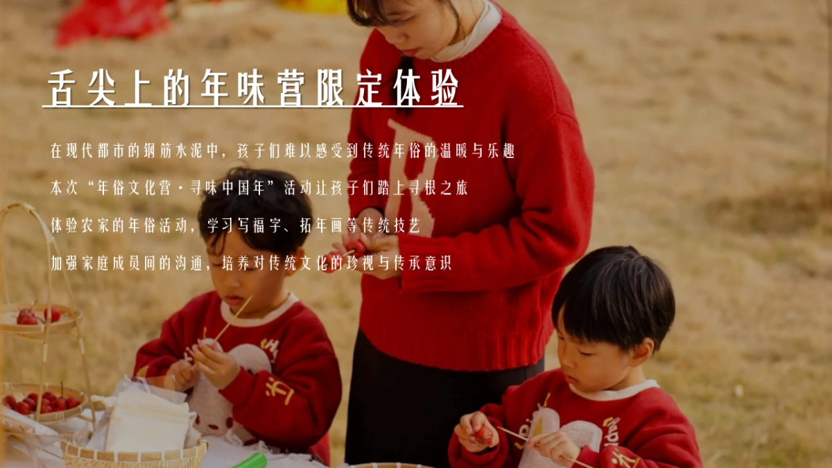 2025年味冬令营传统年俗文化体验活动策划方案_第3页