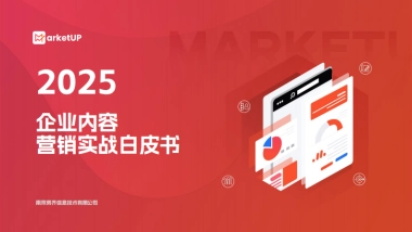 2025企业内容营销实战白皮书-弟齐信息