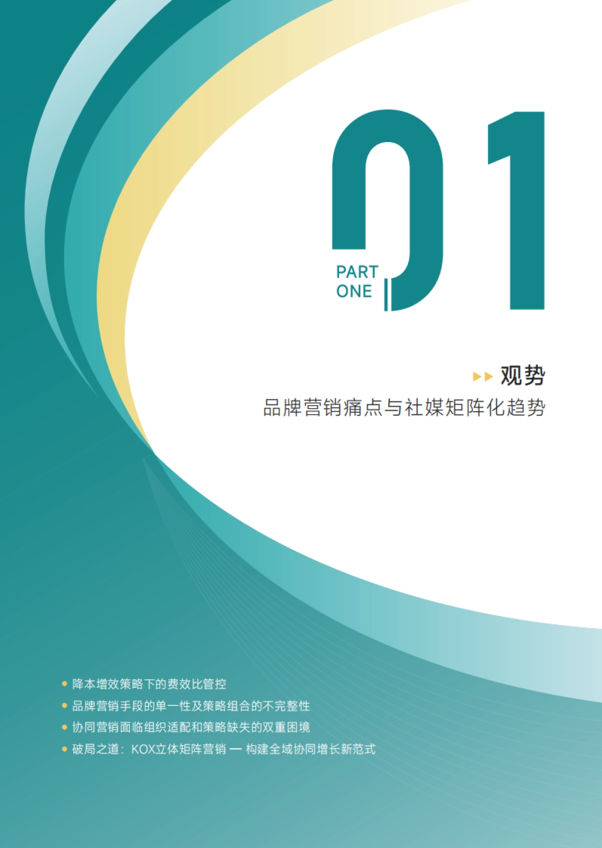 2025年KOX立体矩阵经营白皮书-知家DTC研究院_第7页