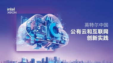 2025年英特尔中国公有云和互联网创新实践报告-英特尔