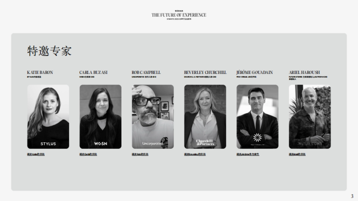 2025年体验的未来零售行业白皮书-Sybarite_第3页