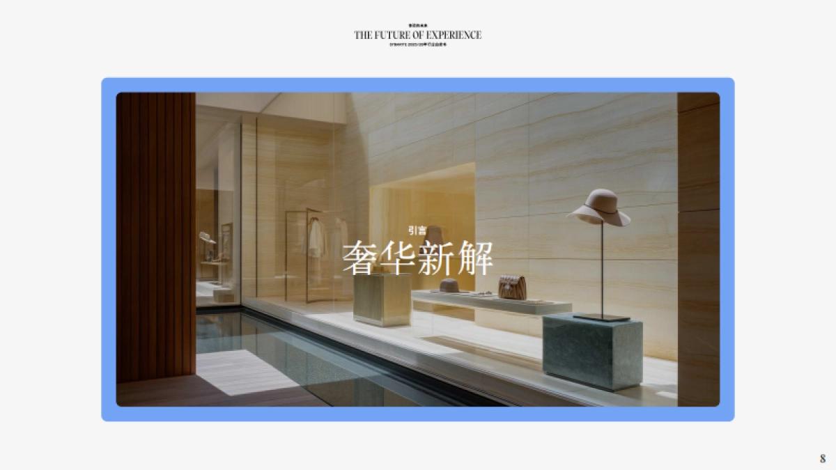 2025年体验的未来零售行业白皮书-Sybarite_第8页