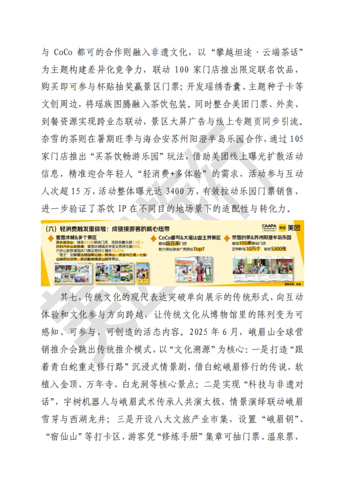 2025年旅游休闲度假消费热点特征与案例研究报告-美团_第9页