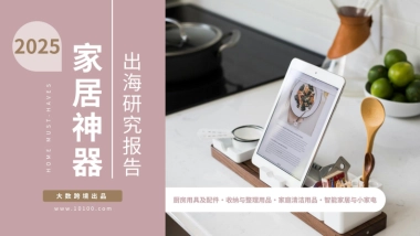 2025家居神器出海研究报告-大数跨境