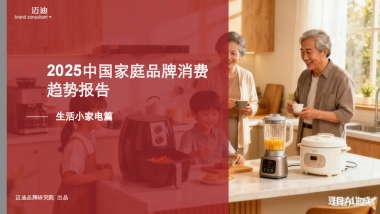 2025中国家庭品牌消费趋势报告：生活小家电篇