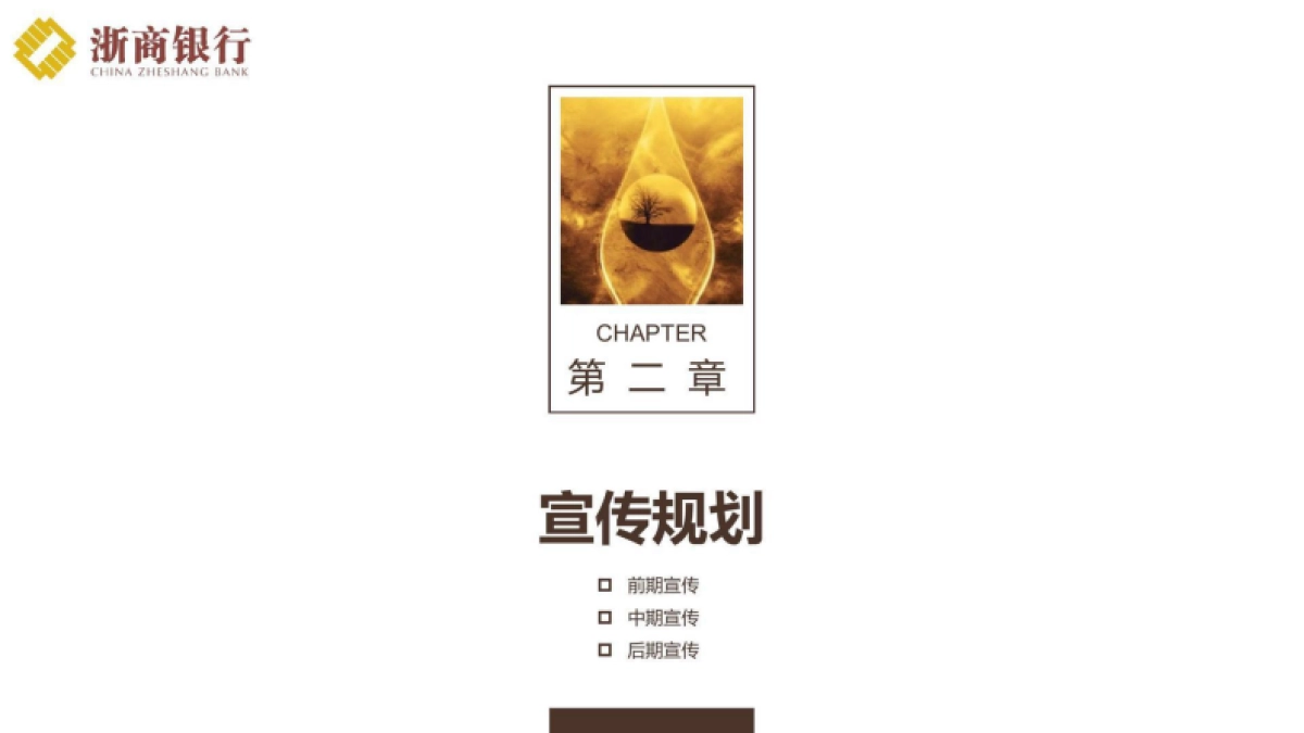 2025金融银行年度品牌营销宣传方案_第5页