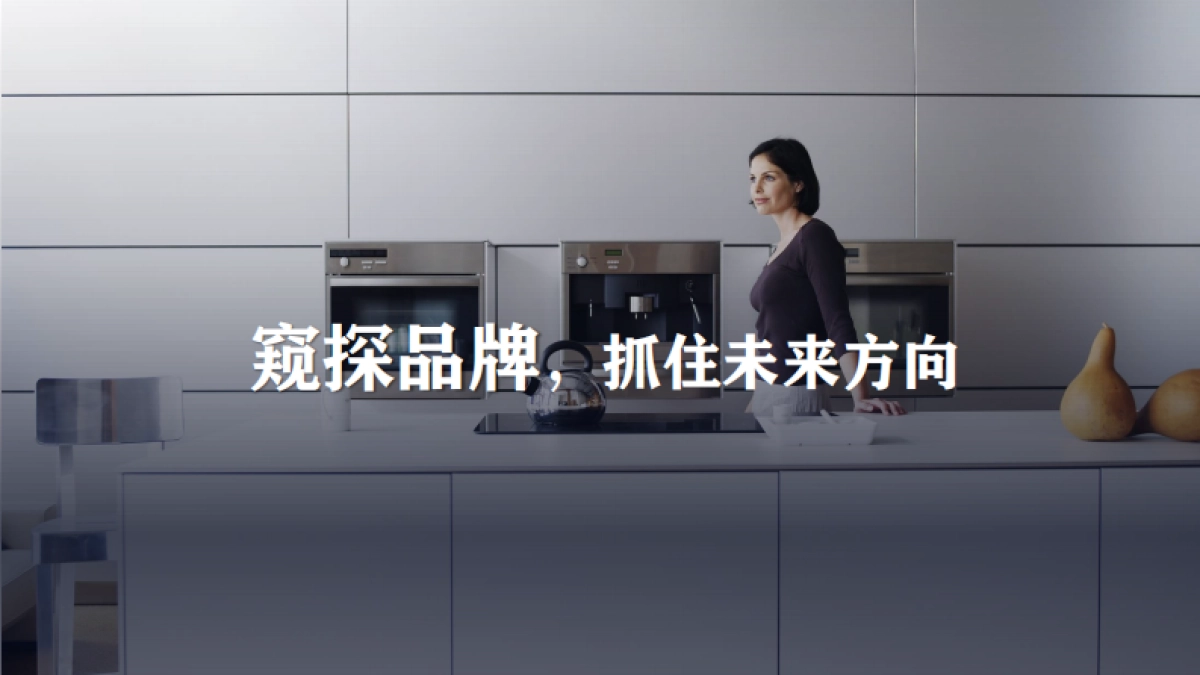 卡萨帝比稿方案_第8页