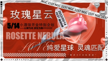 情人节酒吧开业（玫瑰星云·情人节纯爱星球）品牌城市文旅营销方案