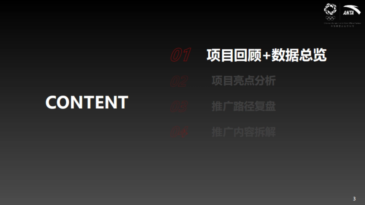 安踏【中国甲】营销结案_第3页