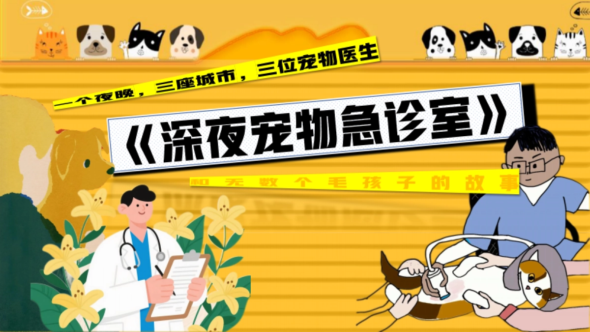 哔哩哔哩纪录片《深夜宠物急诊室》招商方案_第1页