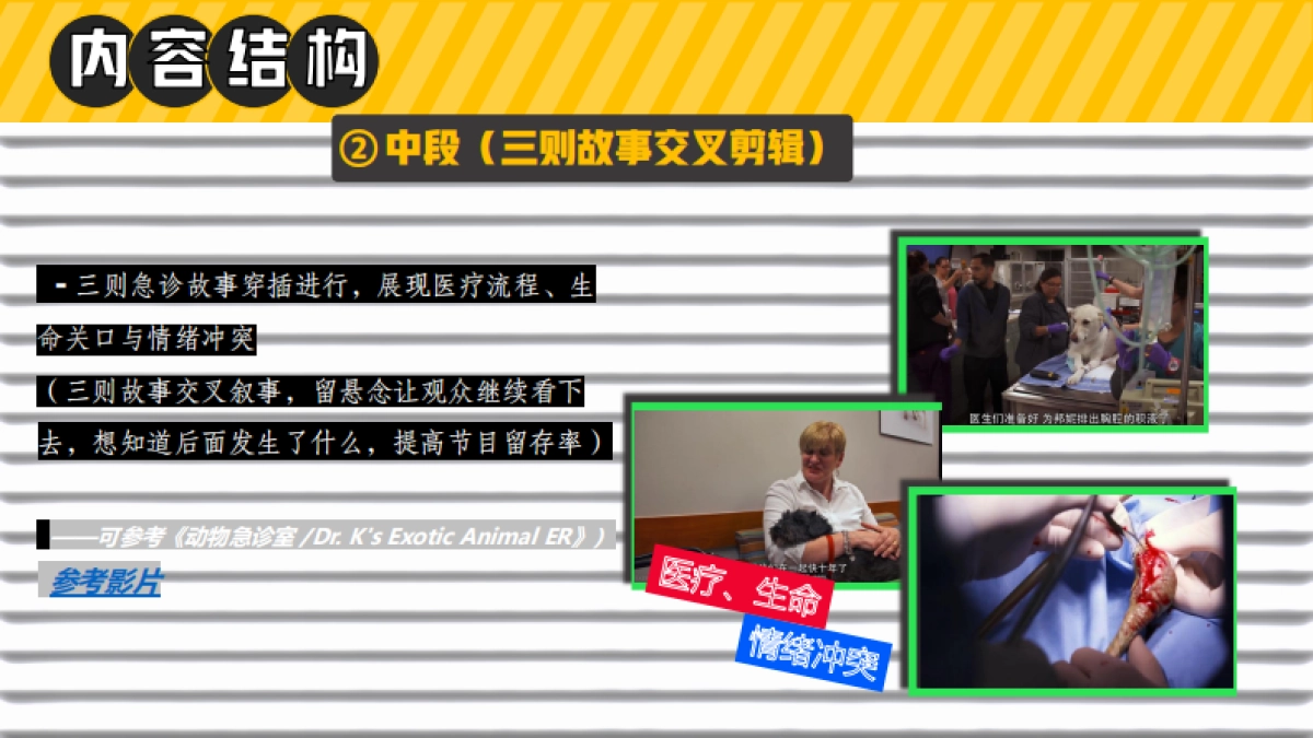 哔哩哔哩纪录片《深夜宠物急诊室》招商方案_第10页