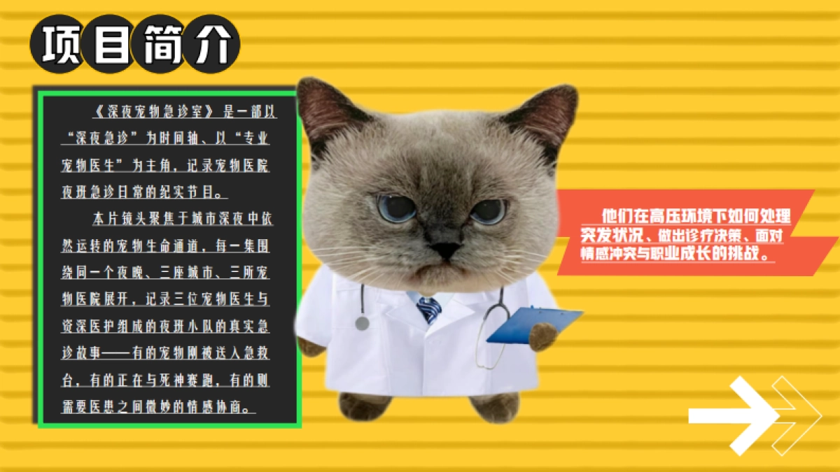 哔哩哔哩纪录片《深夜宠物急诊室》招商方案_第3页