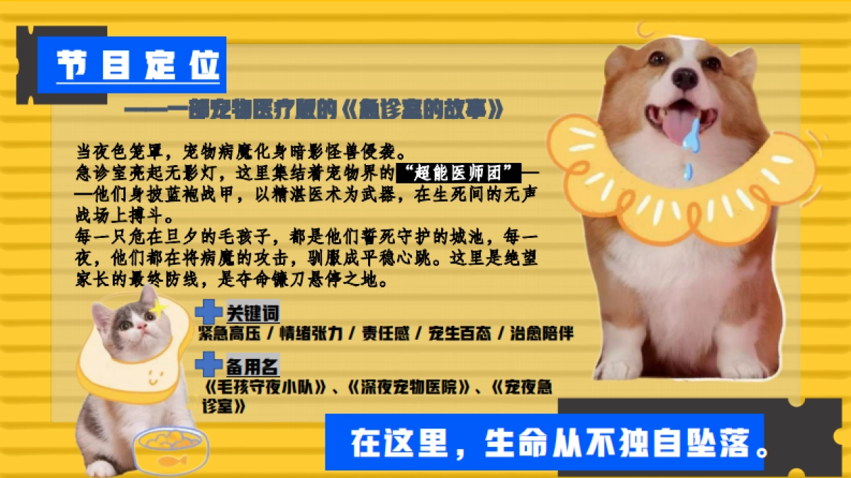 哔哩哔哩纪录片《深夜宠物急诊室》招商方案_第4页