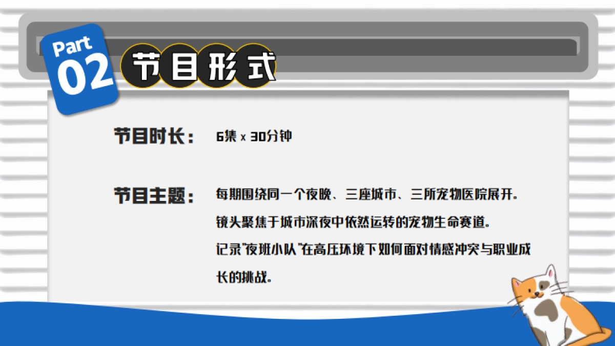 哔哩哔哩纪录片《深夜宠物急诊室》招商方案_第6页