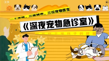 哔哩哔哩纪录片《深夜宠物急诊室》招商方案