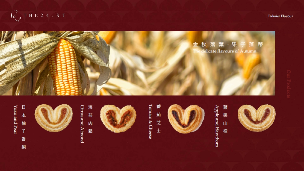 the24st_brandbook_第9页