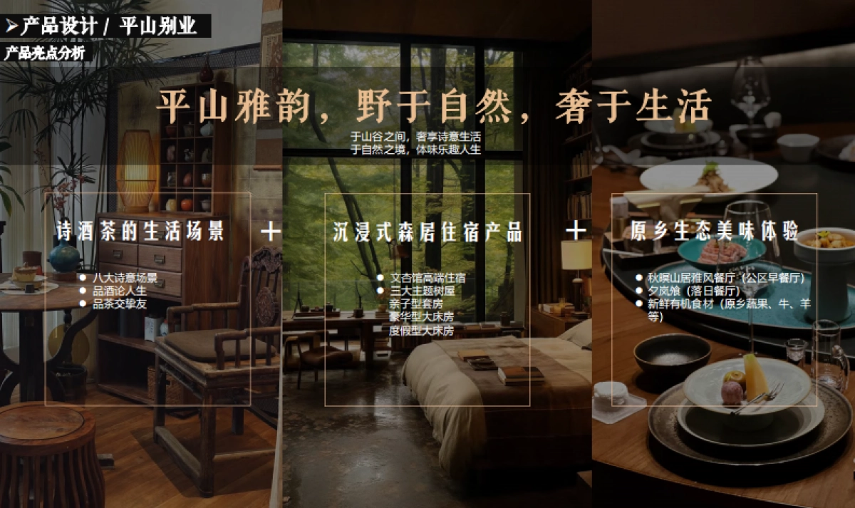 琅琊山庄-平山别业高端民宿项目定位规划产品设计方案_第6页