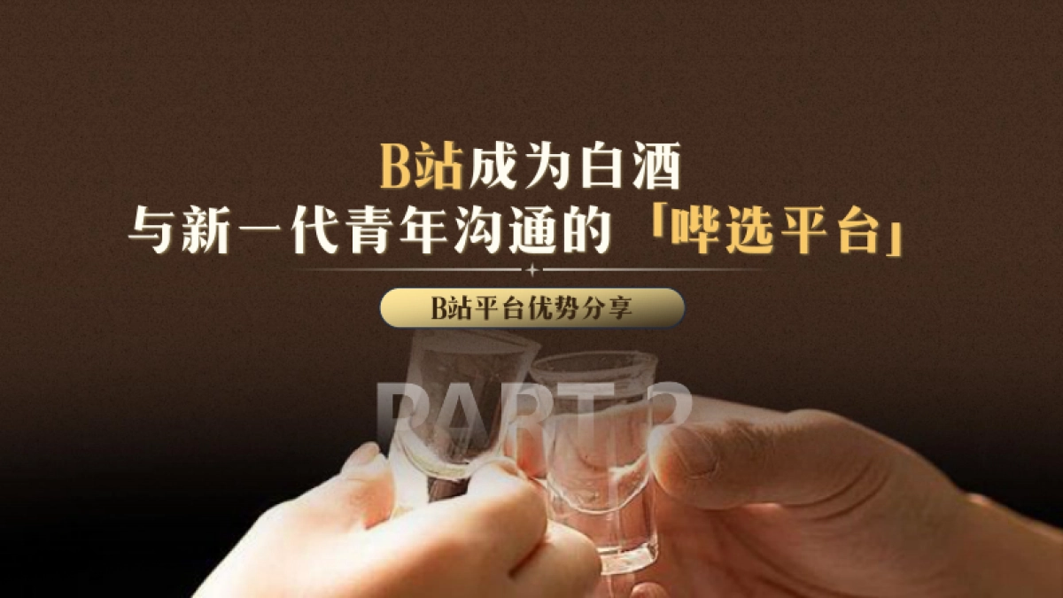 哔哩哔哩2025白酒行业营销通案_第10页