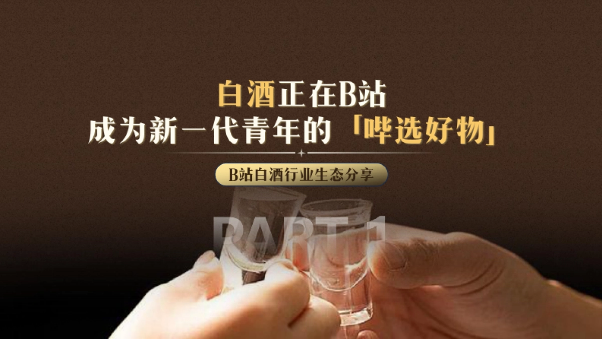 哔哩哔哩2025白酒行业营销通案_第3页