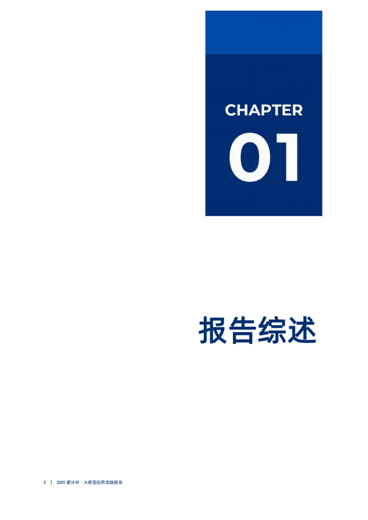 应用为王中国大模型市场2025-2027价值重构与决胜之路：2025年爱分析.大模型应用实践报告_第5页