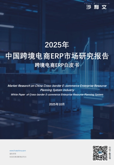 2025年中国跨境电商ERP市场研究报告-沙利文