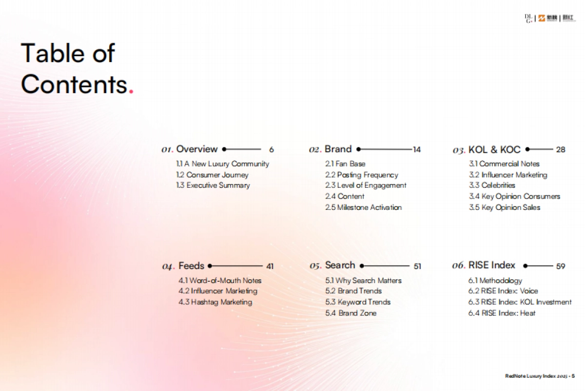2025年奢侈品行业小红书营销生态报告（英文版）-DLG&新红_第5页