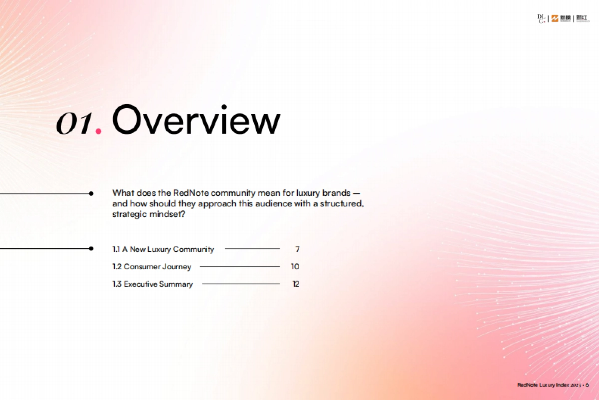 2025年奢侈品行业小红书营销生态报告（英文版）-DLG&新红_第6页