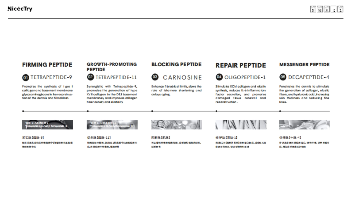 NicecTry 品牌方案_第10页