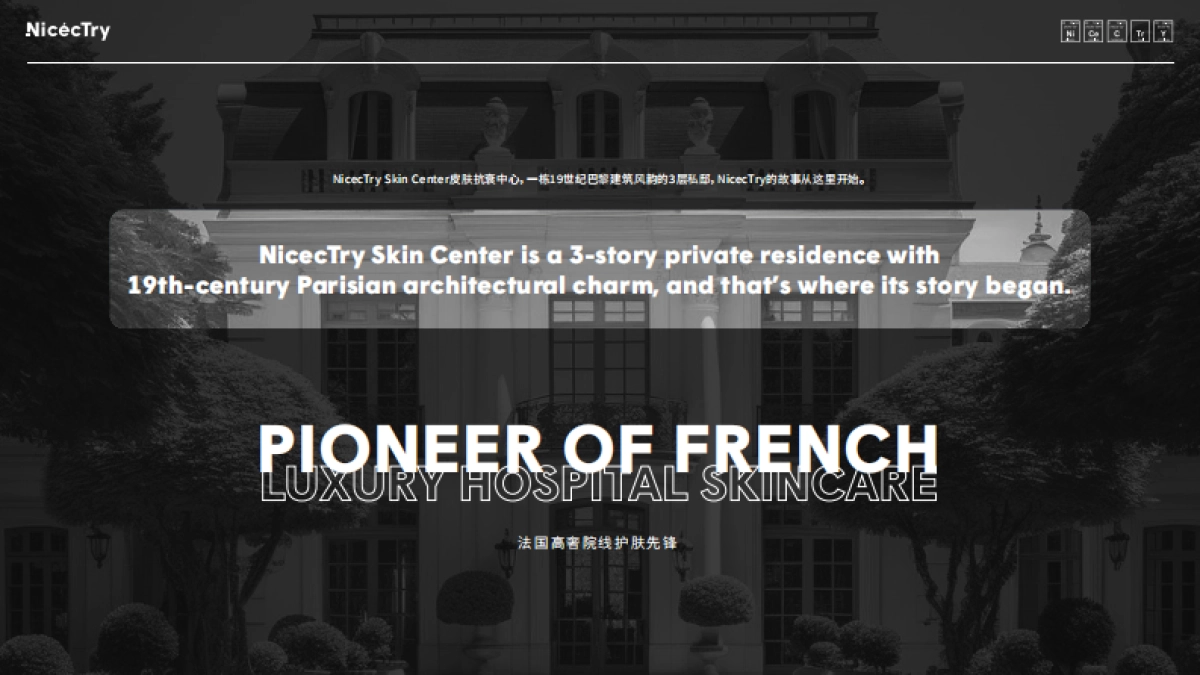 NicecTry 品牌方案_第2页