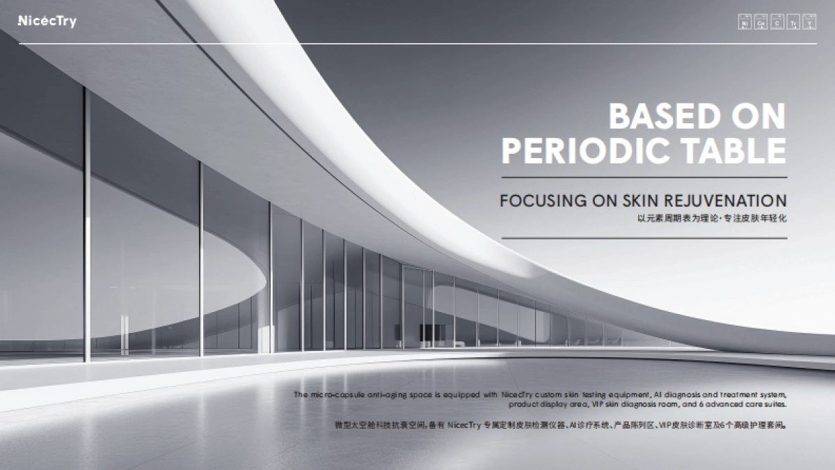 NicecTry 品牌方案_第3页