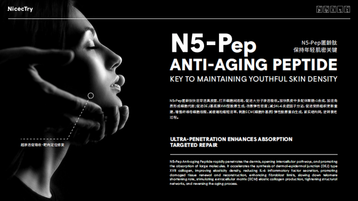 NicecTry 品牌方案_第7页