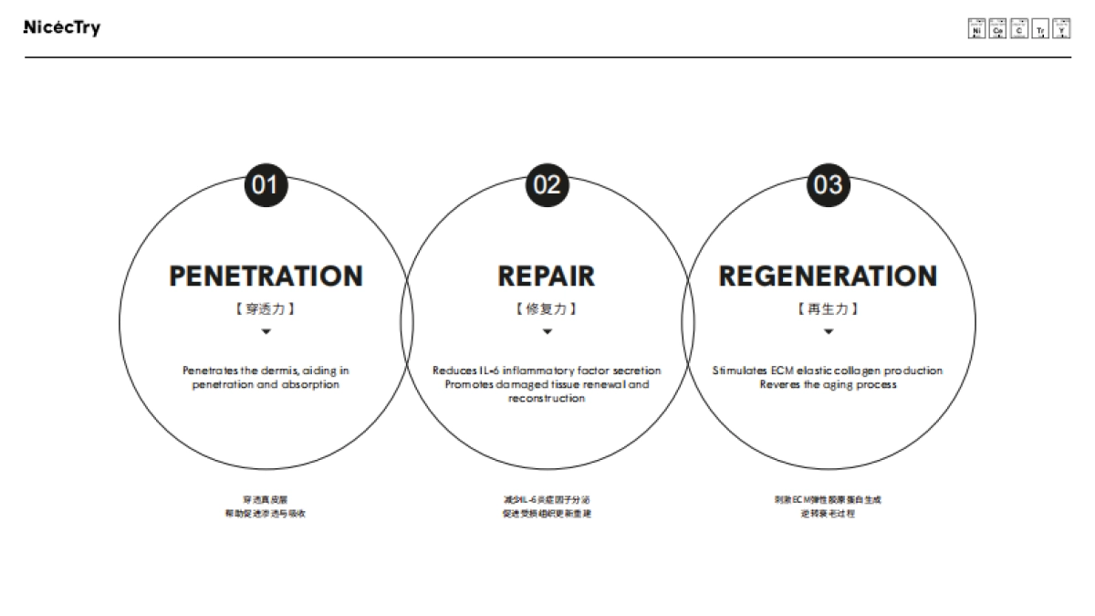 NicecTry 品牌方案_第8页
