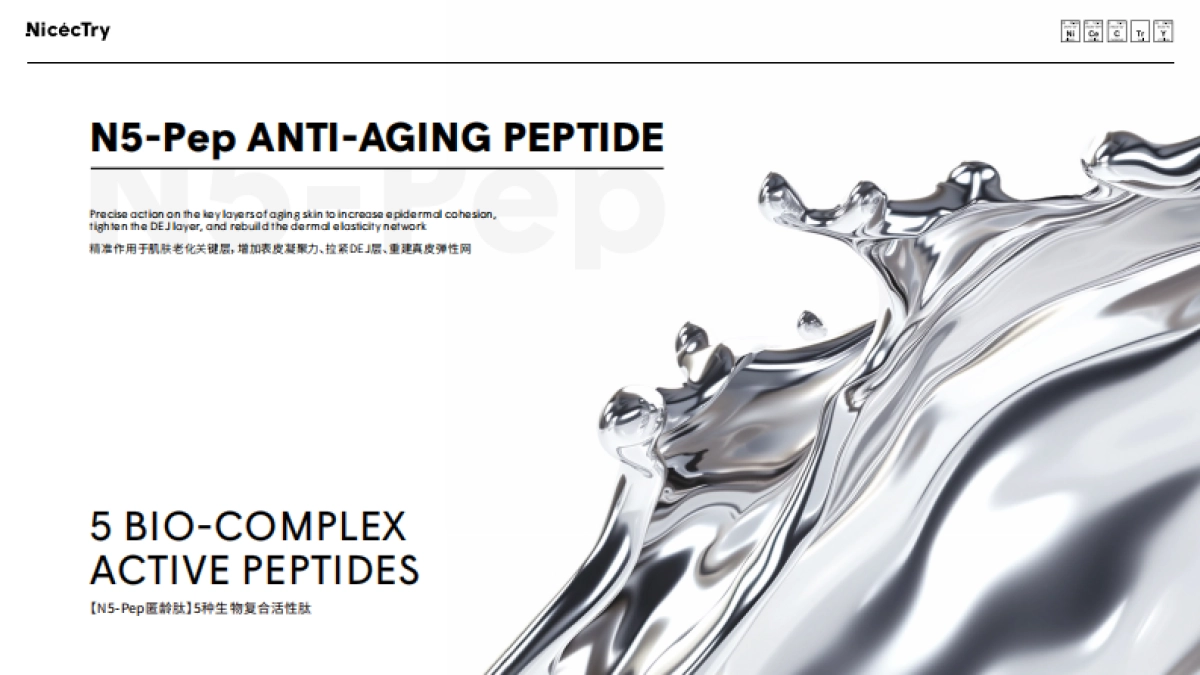 NicecTry 品牌方案_第9页