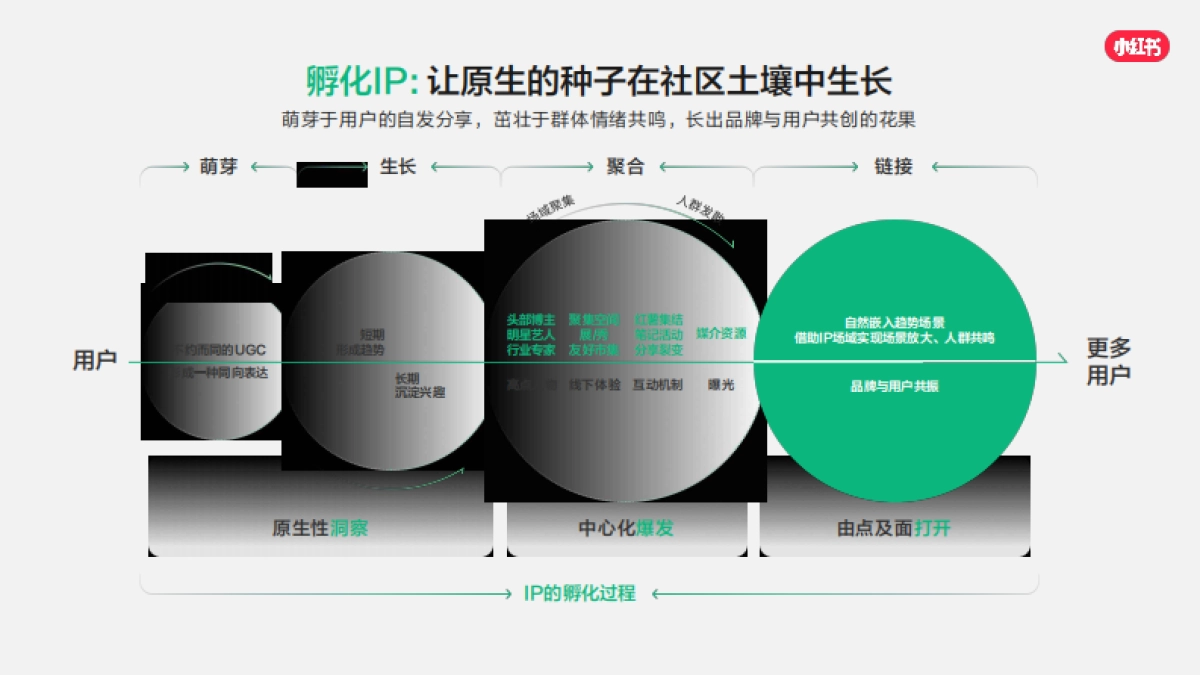 2026小红书营销IP通案PDF_第3页