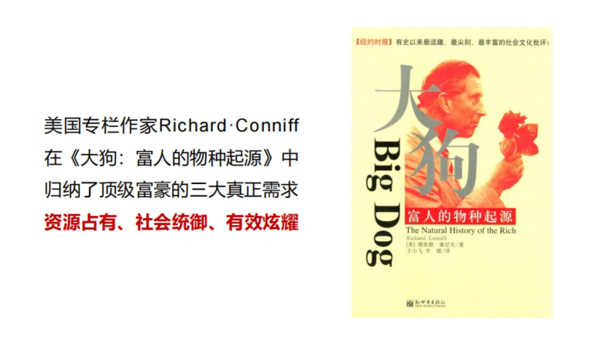 2025地产别墅品牌推广策略提报_第9页