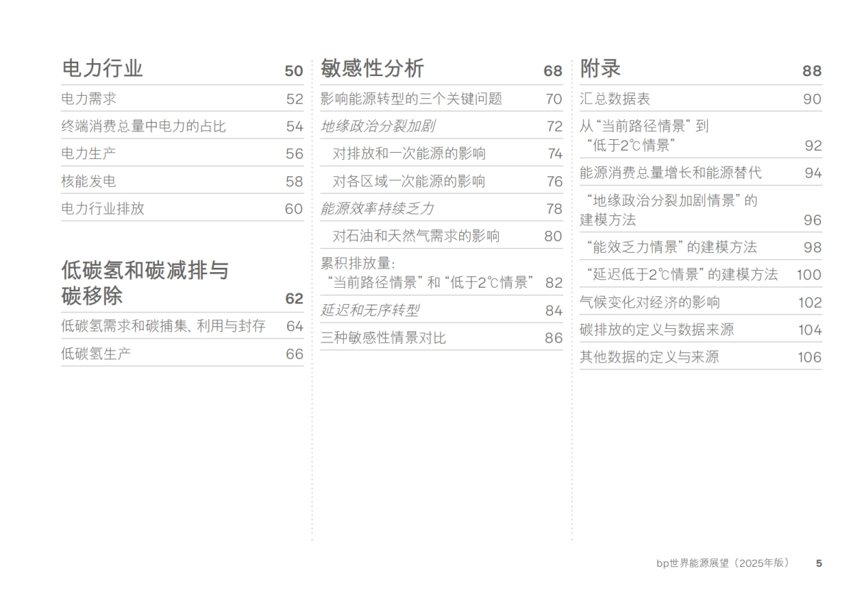 BP世界能源展望-2025年版_第5页