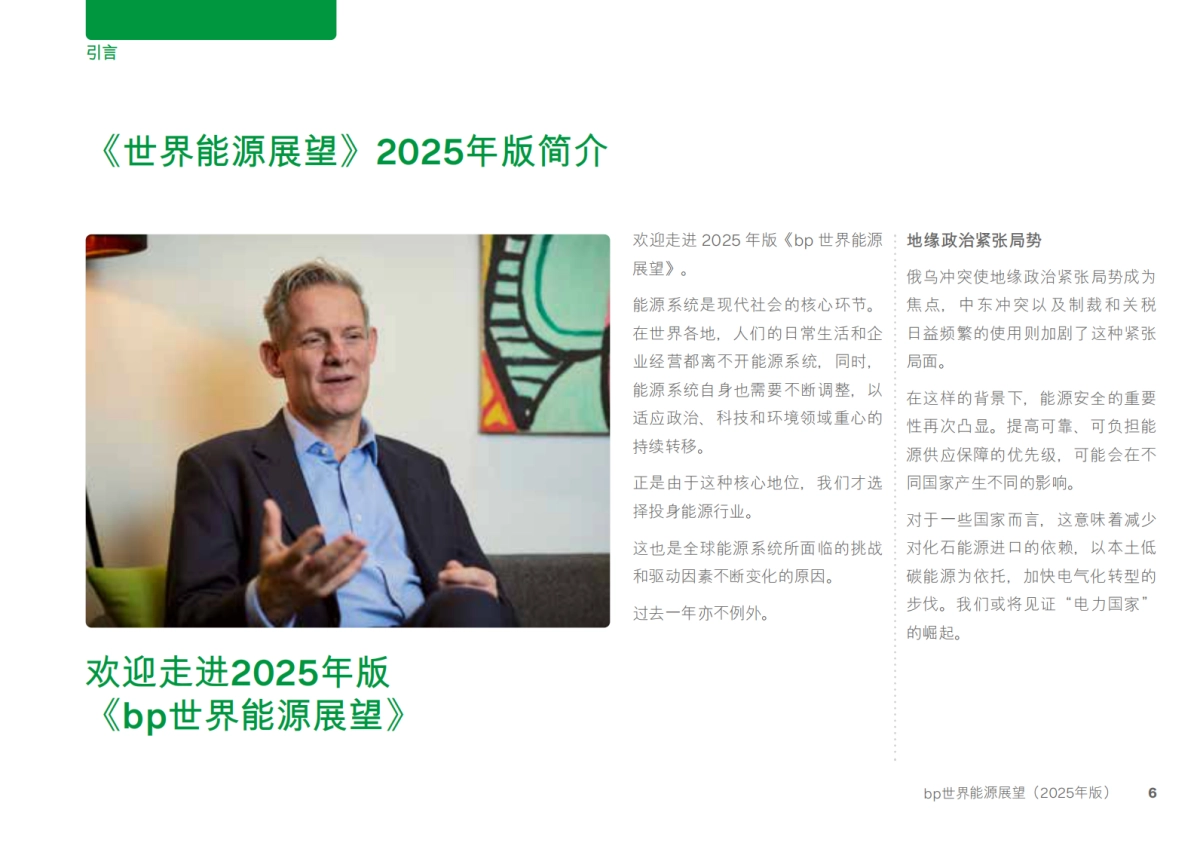 BP世界能源展望-2025年版_第6页
