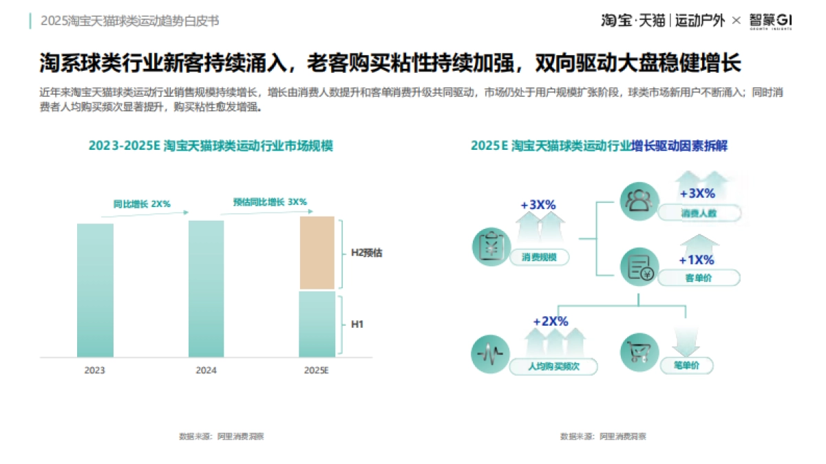 2025年淘宝天猫球类运动趋势白皮书-智篆GI_第10页