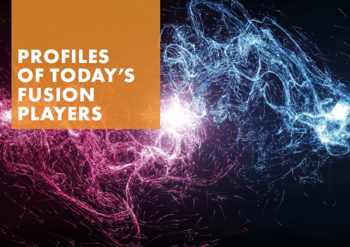 2025年全球核聚变行业报告_第10页