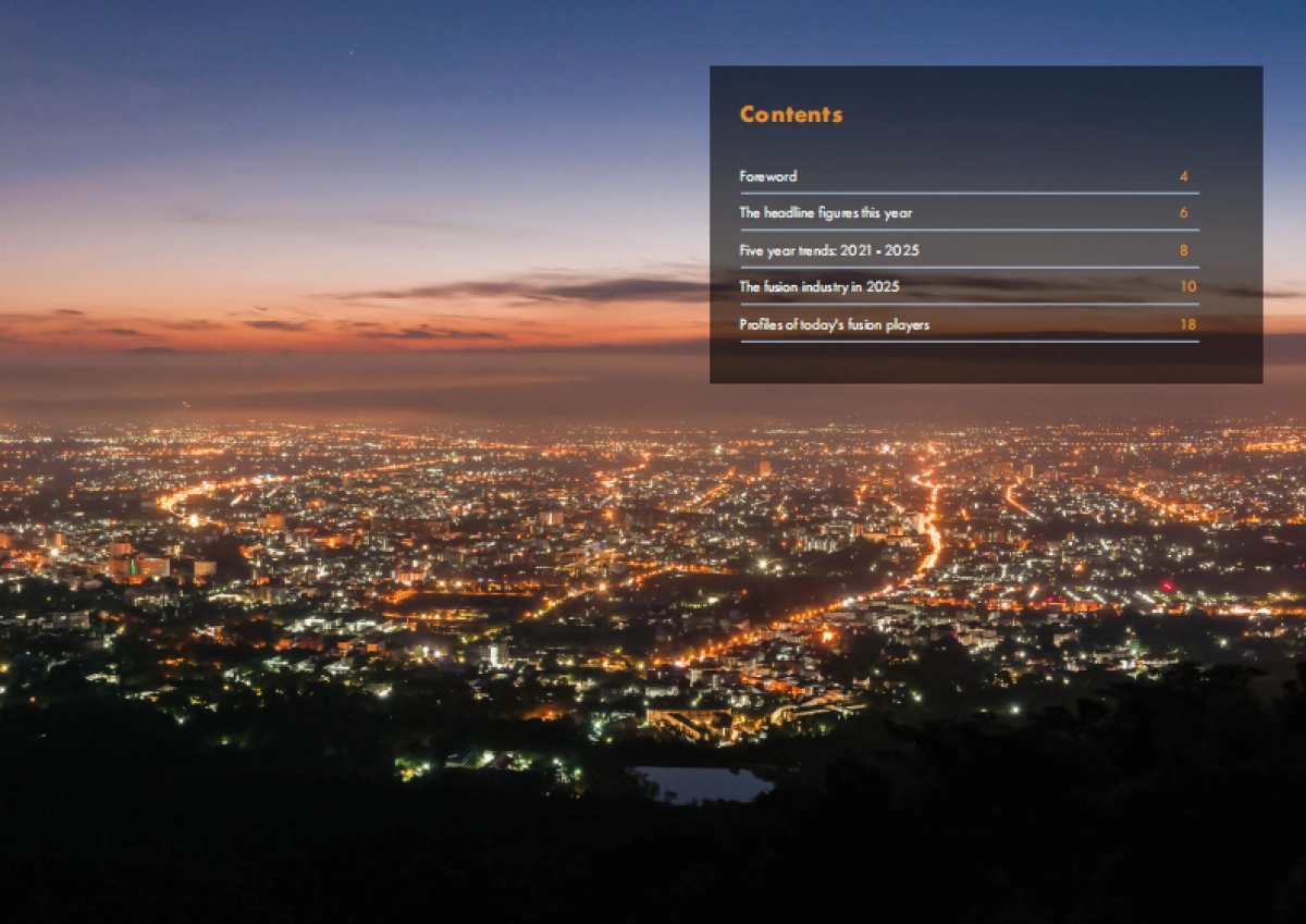 2025年全球核聚变行业报告_第2页