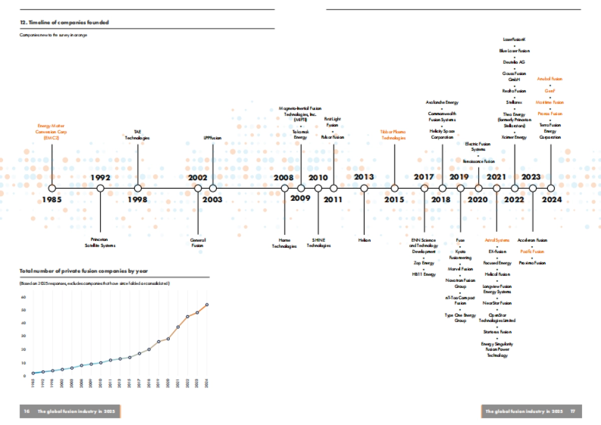 2025年全球核聚变行业报告_第9页