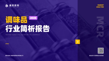 2025年调味品市场简析报告-嘉世咨询