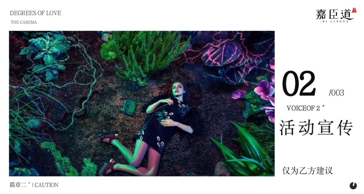 嘉臣道「致敬贝多芬」交响音乐会暨实景美学示范区开放盛典活动策划案_第10页