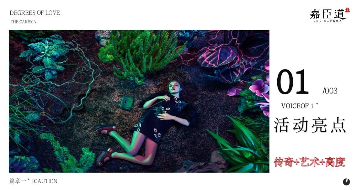 嘉臣道「致敬贝多芬」交响音乐会暨实景美学示范区开放盛典活动策划案_第6页