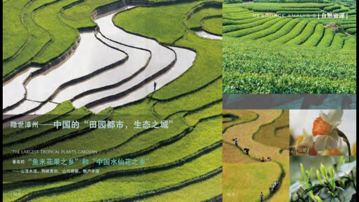 漳州朗诗自然文旅康养度假小镇项目景观设计规划案_第7页