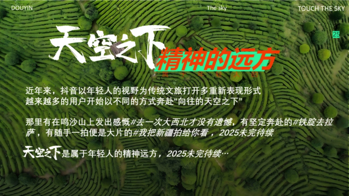 抖音天空之下音乐会IP营销1_第2页