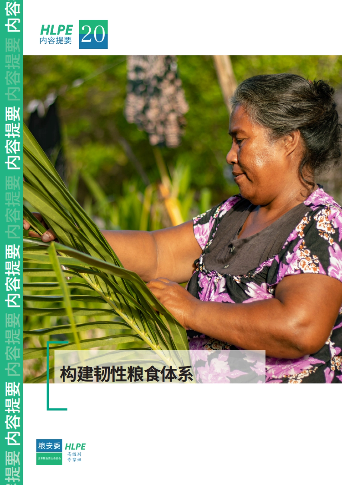 2025年构建韧性粮食体系研究报告-联合国粮农组织（FAO）_第1页