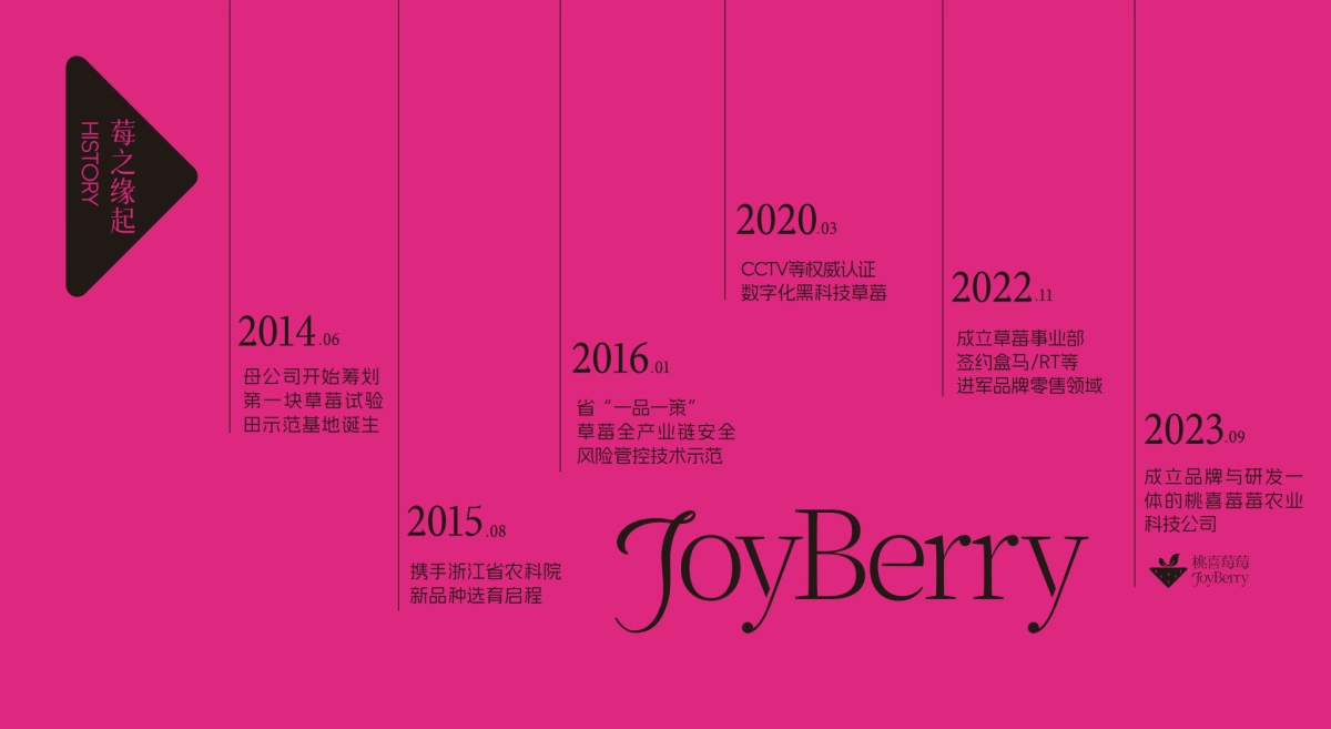 桃喜莓莓品牌手册2025版_第3页