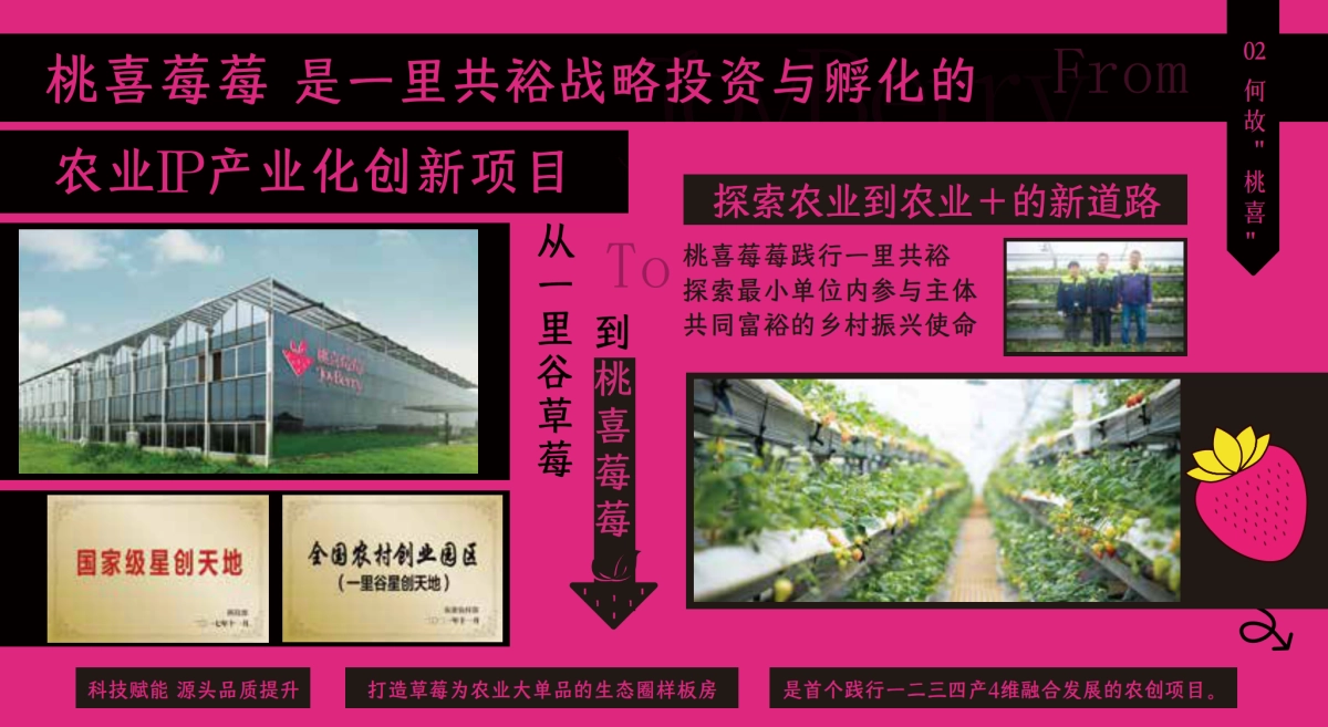 桃喜莓莓品牌手册2025版_第4页