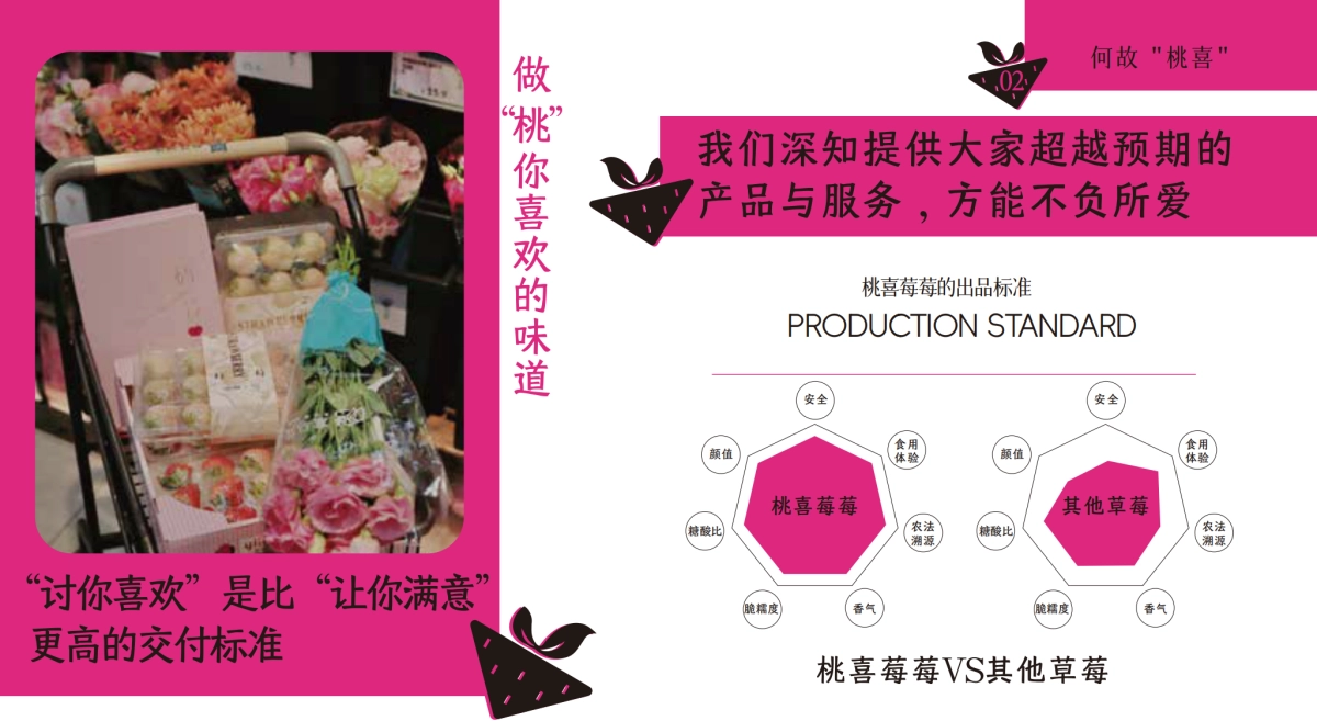 桃喜莓莓品牌手册2025版_第5页